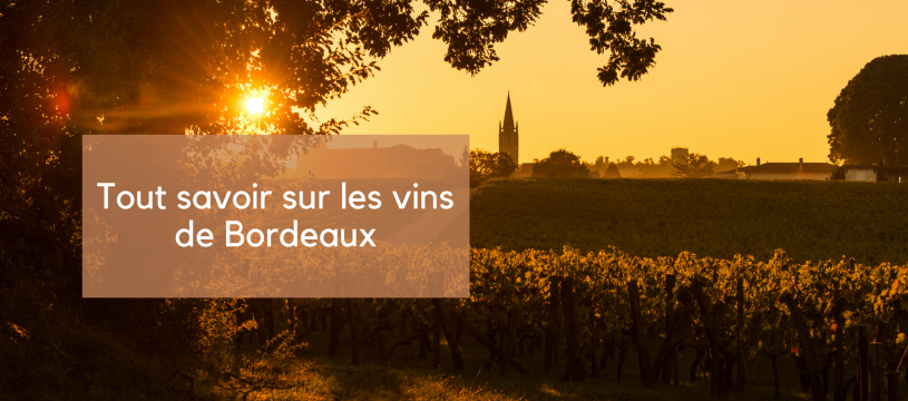 Tout savoir sur les vins de Bordeaux